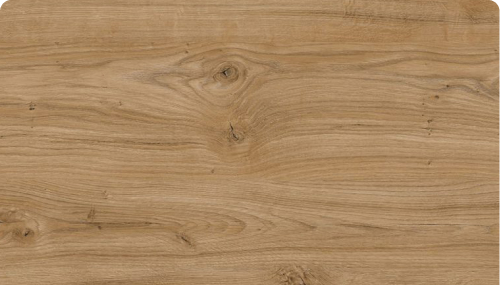 Dąb Odwieczny - D 1041 OW