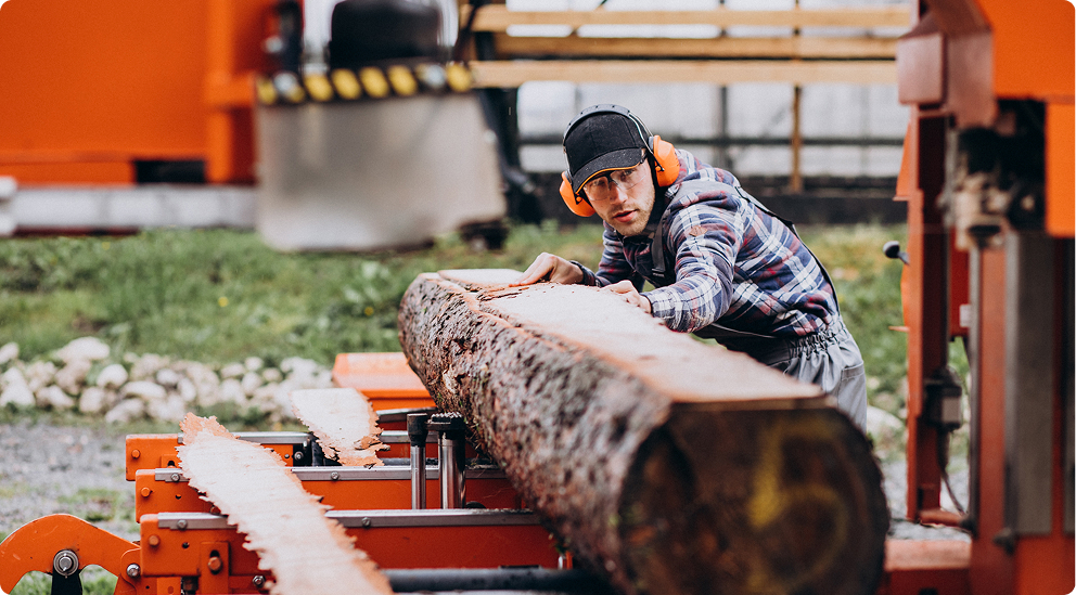 Pozyskanie najwyższej jakości drewna sosnowego